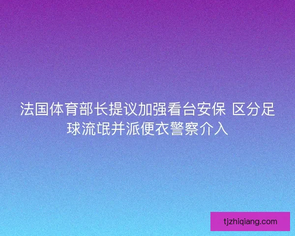 法国体育部长提议加强看台安保 区分足球流氓并派便衣警察介入