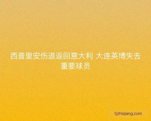 西普里安伤退返回意大利 大连英博失去重要球员